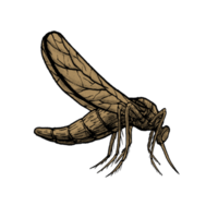 clipart de ilustração de mosquito. png