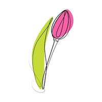 Outline drawing of a tulip flower in one line in a minimalist style with color spot in trendy shades vector