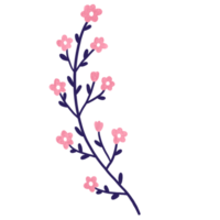 Flower blooming in the spring season clipart. png