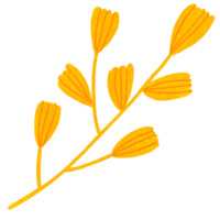 Flower blooming in the spring season clipart. png