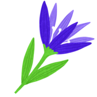 bloem bloeiend in de voorjaar seizoen clip art. png