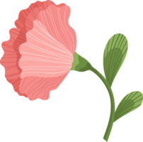 Pink flower. Illustration png