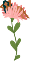 Frau in einer Blume. Illustration png