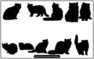 Exotic Shorthair Cat Breed silhouette free vector