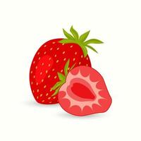 strawberry flat illustration fresh fruit for digital or printing use vector