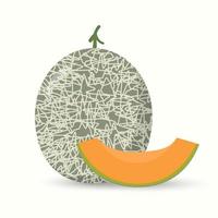 melon flat illustration fresh fruit for digital or printing use vector