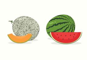 melon and watermelon flat illustration fresh fruit for digital or printing use vector