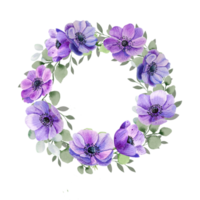 Aquarell Anemonenkranz png