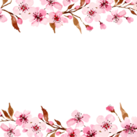 Watercolor sakura flowers. Spring cherry blossom png
