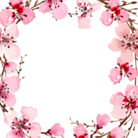 waterverf sakura bloemen. voorjaar kers bloesem png