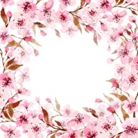 Watercolor sakura flowers. Spring cherry blossom png