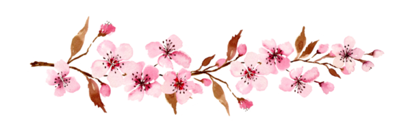 Anime Flowers PNG Transparent Background And Clipart Image For Free  Download - Lovepik | 400189950