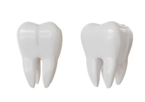 teeth 3d models on isolated background. png