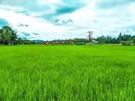 Peaceful village view. Huge farmland in the middle of a vast landscape. photo