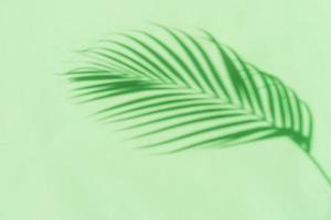 Tropical palm leaves shadow on green color background with copy space photo