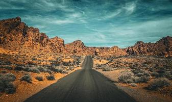 el camino del desierto foto