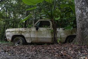 skull inside car abandoned in the forest photo