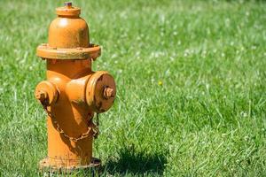 yellow hydrant isolated on grass background photo