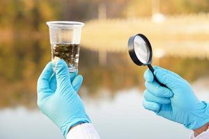 Close up ecologist hands wears blue gloves, holds magnifying glass and glass that contain sample water and water plants from the lake. Concept, explore, inspect water quality photo