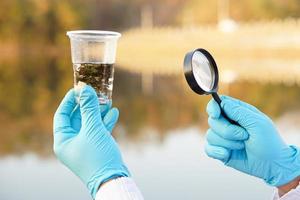 Close up ecologist hands wears blue gloves, holds magnifying glass and glass that contain sample water and water plants from the lake. Concept, explore, inspect water quality photo