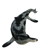 dinossauro cymbospondylus isolado ilustração 3d png