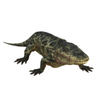 Eryops dinosaur isolated 3d render png