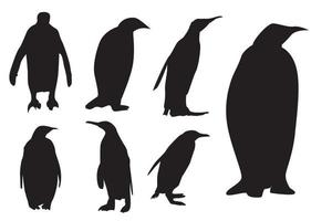 vector flat illustration set of penguins in different poses. Adult birds and chicks. Vector illustration, isolated on a white background.