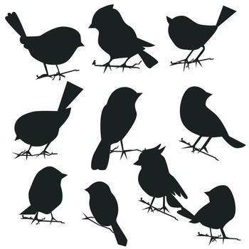 vector set of bird sillhouette in flat style various styles and shapes are perched on a branch, bird vector flat isolated on white background