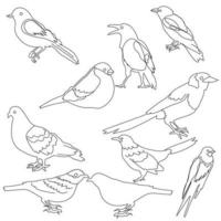 conjunto vectorial de silueta de pájaro en estilo plano varios estilos y formas se posan en una rama, vector de pájaro plano aislado en fondo blanco