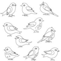 conjunto vectorial de silueta de pájaro en estilo plano varios estilos y formas se posan en una rama, vector de pájaro plano aislado en fondo blanco