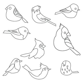 vector set of bird sillhouette in flat style various styles and shapes are perched on a branch, bird vector flat isolated on white background
