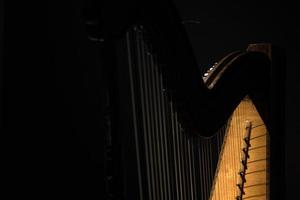 harp strings detail close up isolated on black photo