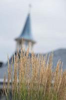 tadoussac church behind wheat photo