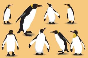 conjunto de ilustraciones planas vectoriales de pingüinos en diferentes poses. aves adultas y polluelos. ilustración vectorial, aislada en un fondo blanco. vector