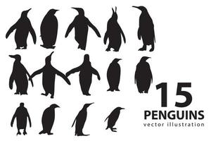 vector flat illustration set of penguins in different poses. Adult birds and chicks. Vector illustration, isolated on a white background.