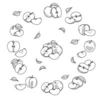 A set of apples with leaves. vector