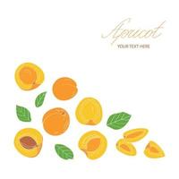 Apricot set. Vector illustration in flat style.