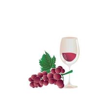 Glass of wine and grapes. Vector illustration.