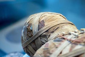 Egyptian mummy head close up photo