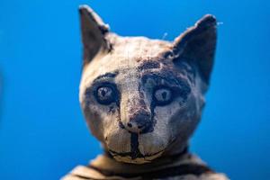 Gato momia egipcio encontrado dentro de la tumba foto
