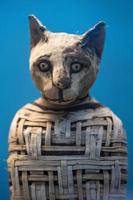 egyptian mummy cat found inside tomb photo