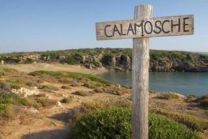 calamosche beach in Sicily Italy photo