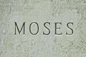 moses on marble photo