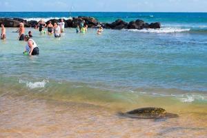 HONOLULU, USA - AUGUST, 14 2014 - People having fun at hawaii beach photo