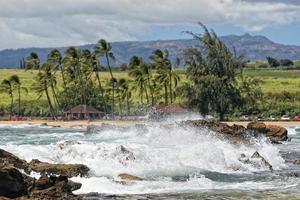 pacific ocean waves on the shore photo