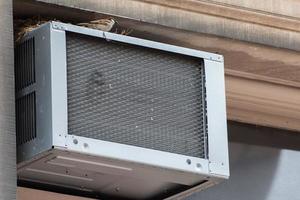 bird building a nest on air conditioner photo