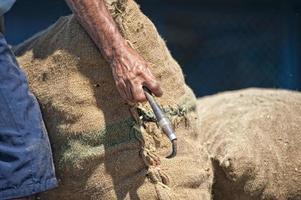 Asian male hands holding sack in a harbor photo