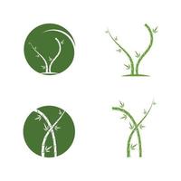bambú con hoja verde para su logo icono vector