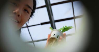 Footage focused of Happy Young Asian girl farmer working with fresh green oak lettuce salad, organic hydroponic vegetable in nursery farm. Business and organic hydroponic vegetable concept. video