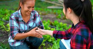 Two Young Female farmer Wear plaid shirt with Tablet and paper on clipboard checking planting in organic farm, hand shake and smile with happiness together, partner of small business in agricultural